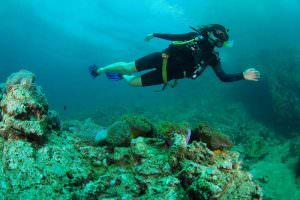 Scuba Diving in Andaman Sea